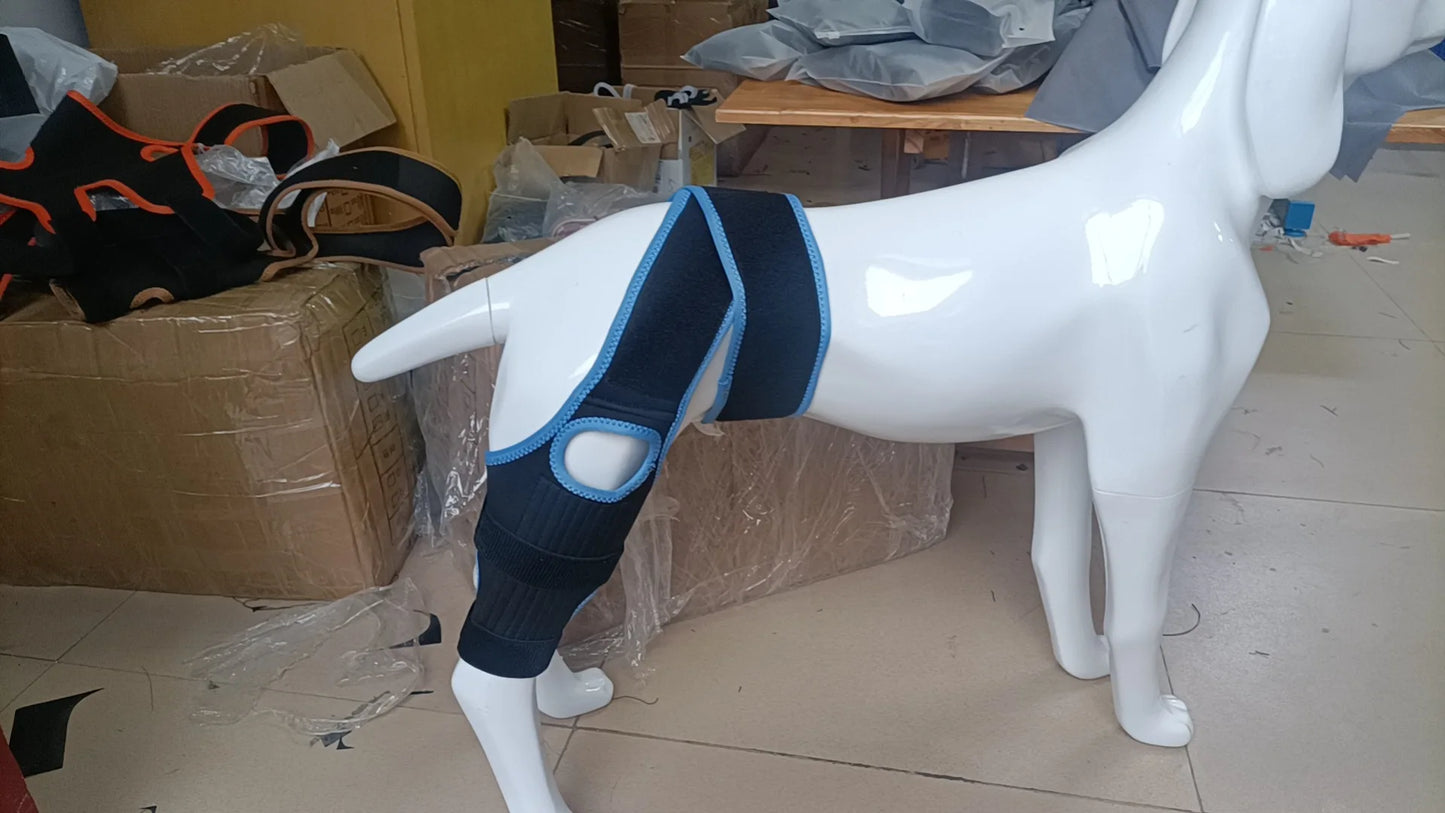 Dog Leg Support Brace (Knee Hip Joint)