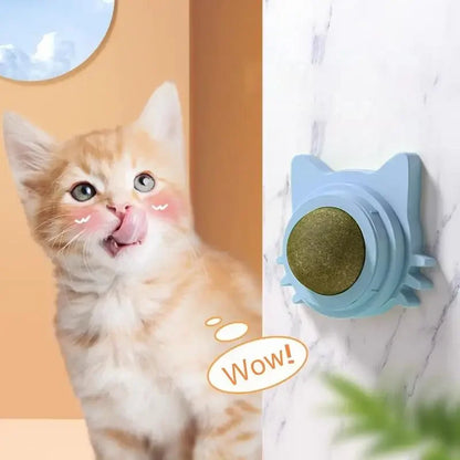 Lickable Catnip Balls Treats and Teeth Cleaner
