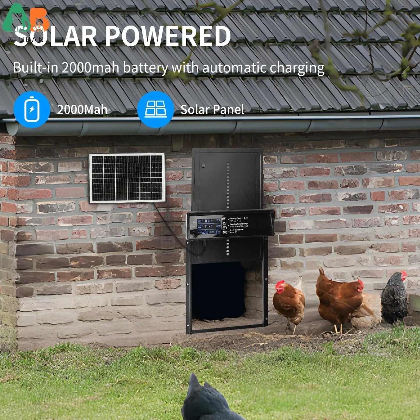 Automatic Chicken Coop Door Solar Powered (Electric LCD Display)