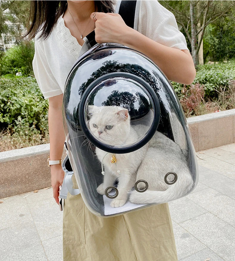 Breathable And Portable Transparent Pet Backpack