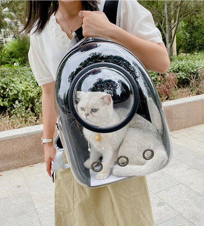 Breathable And Portable Transparent Pet Backpack