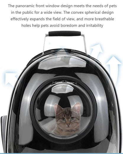 Breathable And Portable Transparent Pet Backpack