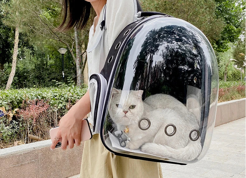 Breathable And Portable Transparent Pet Backpack