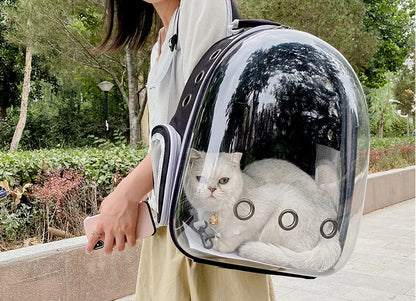 Breathable And Portable Transparent Pet Backpack