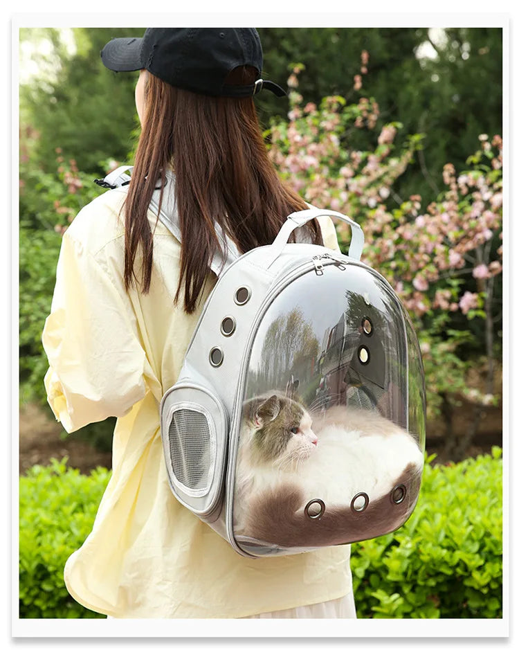 PurView Pro Transparent Cat Backpack - As seen in Argylle