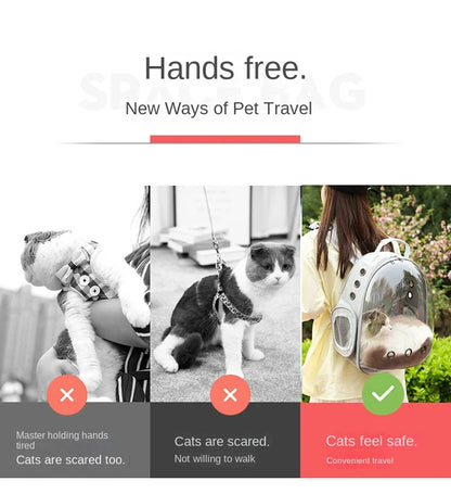 PurView Pro Transparent Cat Backpack - As seen in Argylle