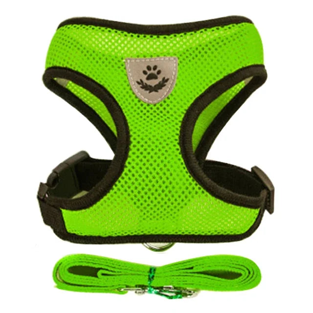 Adjustable Mesh Harness Vest with Leash Set