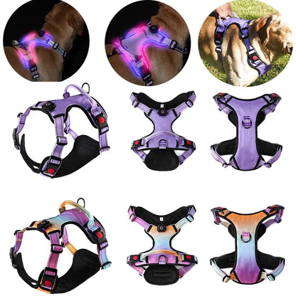 Luminous Dog Harnesses Essential for Dog Walking Safety At Night Large Dog Vest with Three LED Light Modes USB Rechargeable