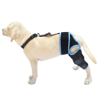 Dog Leg Support Brace (Knee Hip Joint)