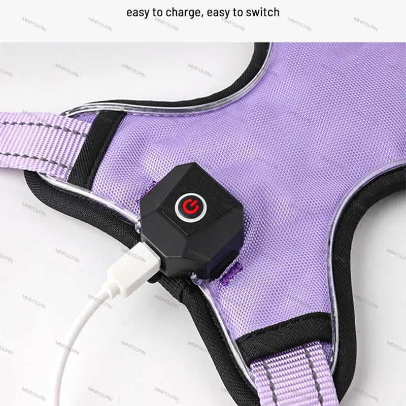 Luminous Dog Harnesses with Three LED Light Modes [Rechargeable]