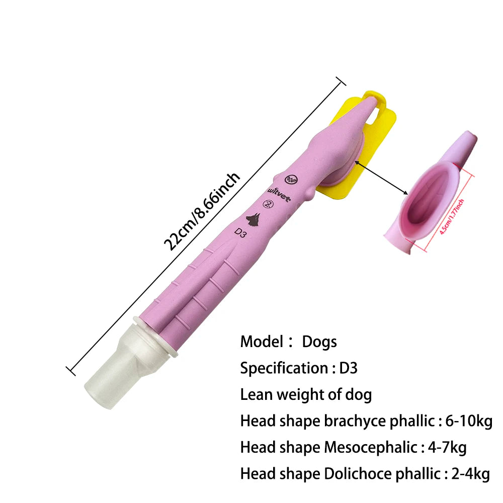 Canine Tracheal Intubation of Anesthesia Gas