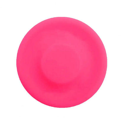 Mini Bite Resistant Flying Disk Toy