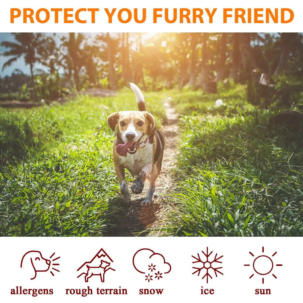 Moisturizing Paw Balm for Happy Paws