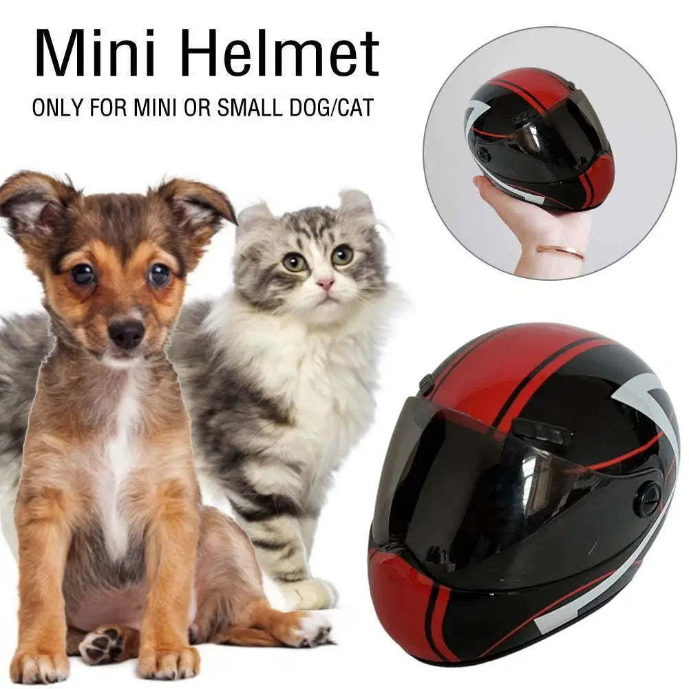 Protective Helmet for Dogs and Cats