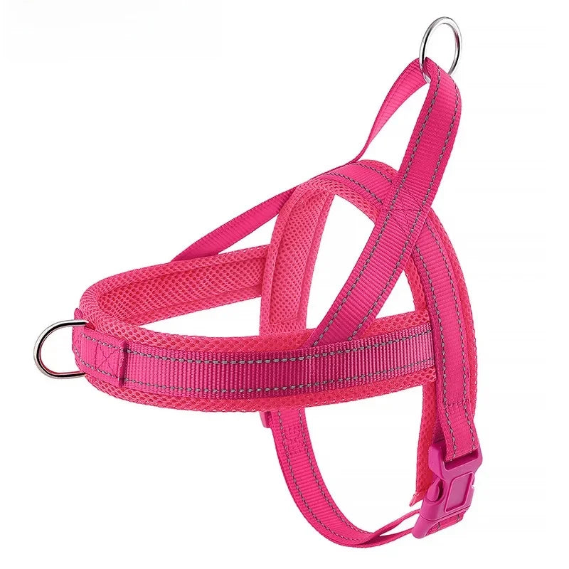 Explosion Proof Breathable Dog Leash and Vest