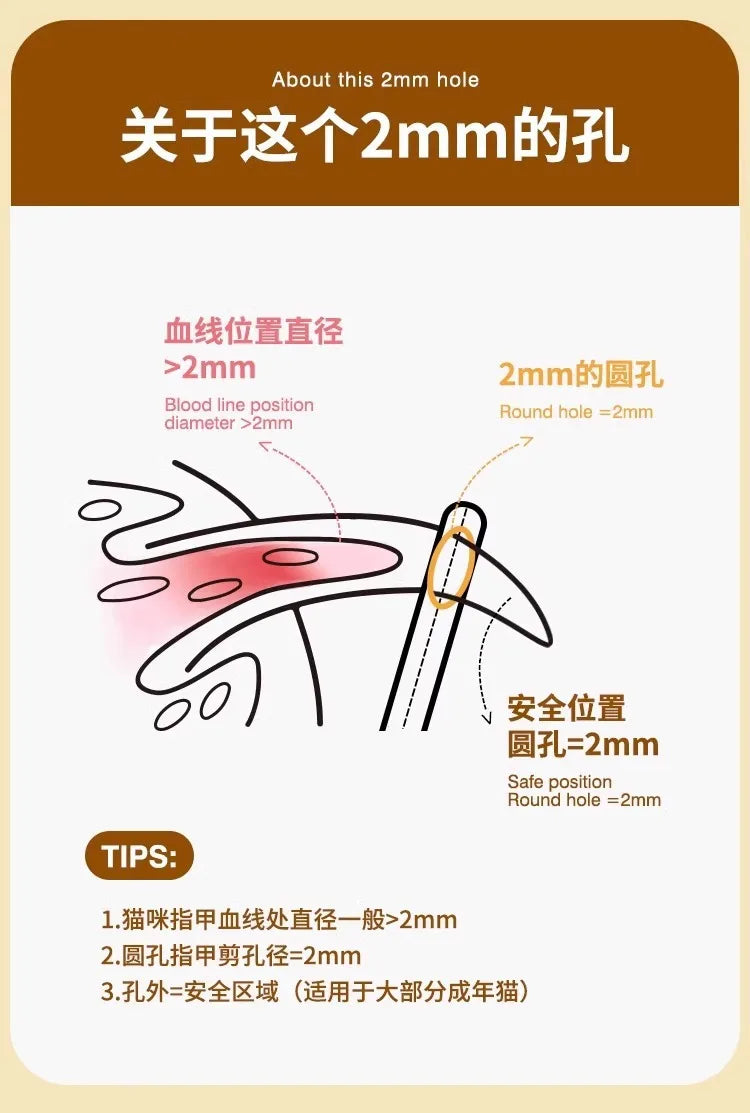 Teddy Bear Design Cat Nail Clippers Set