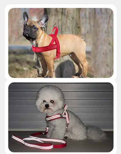 Explosion Proof Breathable Dog Leash and Vest