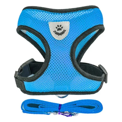 Adjustable Mesh Harness Vest and Leash Set