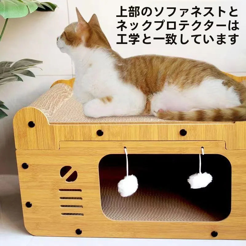 Indoor House Villa Space with Scratching Board