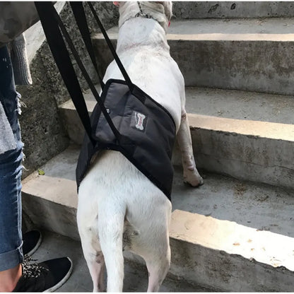 Portable Dog Sling Harness for Rear Support