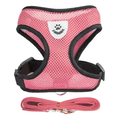 Adjustable Mesh Harness Vest and Leash Set