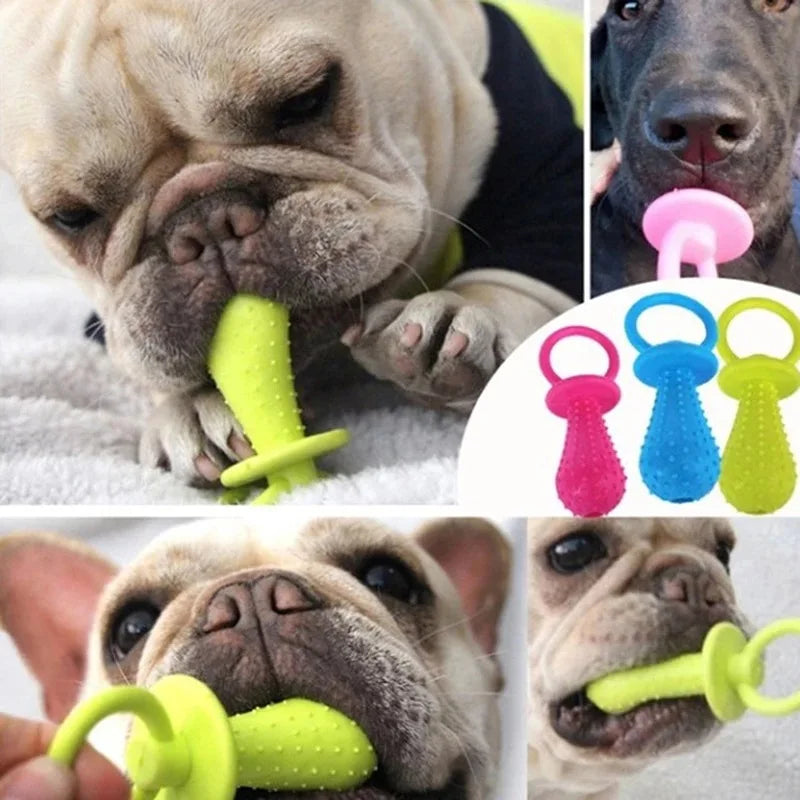 Rubber Pacifier Ring Shape Chew Toy