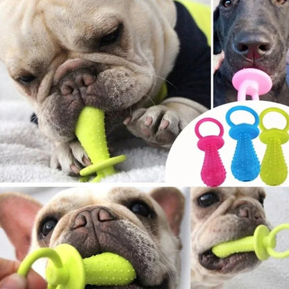 Rubber Pacifier Ring Shape Chew Toy