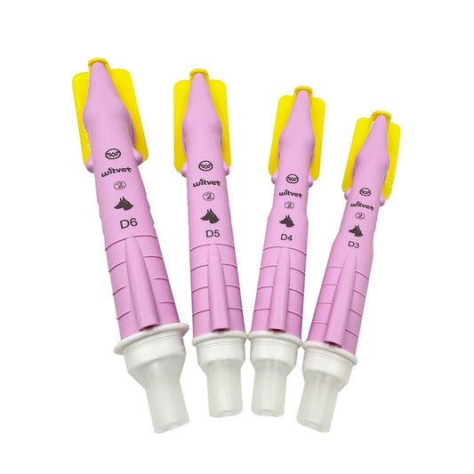 Canine Tracheal Intubation of Anesthesia Gas