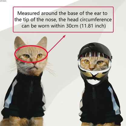 Protective Helmet for Dogs and Cats