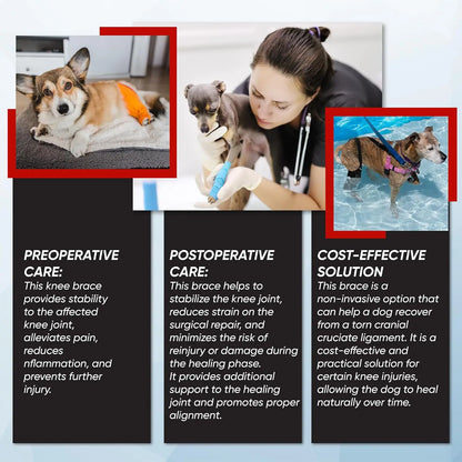 Dog Leg Support Brace (Knee Hip Joint)