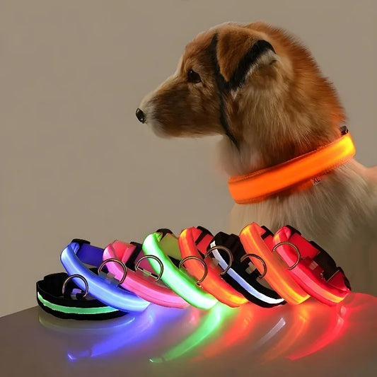 LED Nylon Dog Collar Glow In The Dark Safety