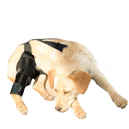 Dog Leg Support Brace (Knee Hip Joint)