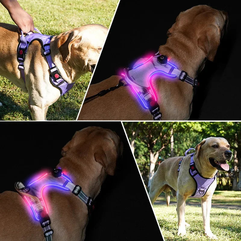 Luminous Dog Harnesses with Three LED Light Modes [Rechargeable]