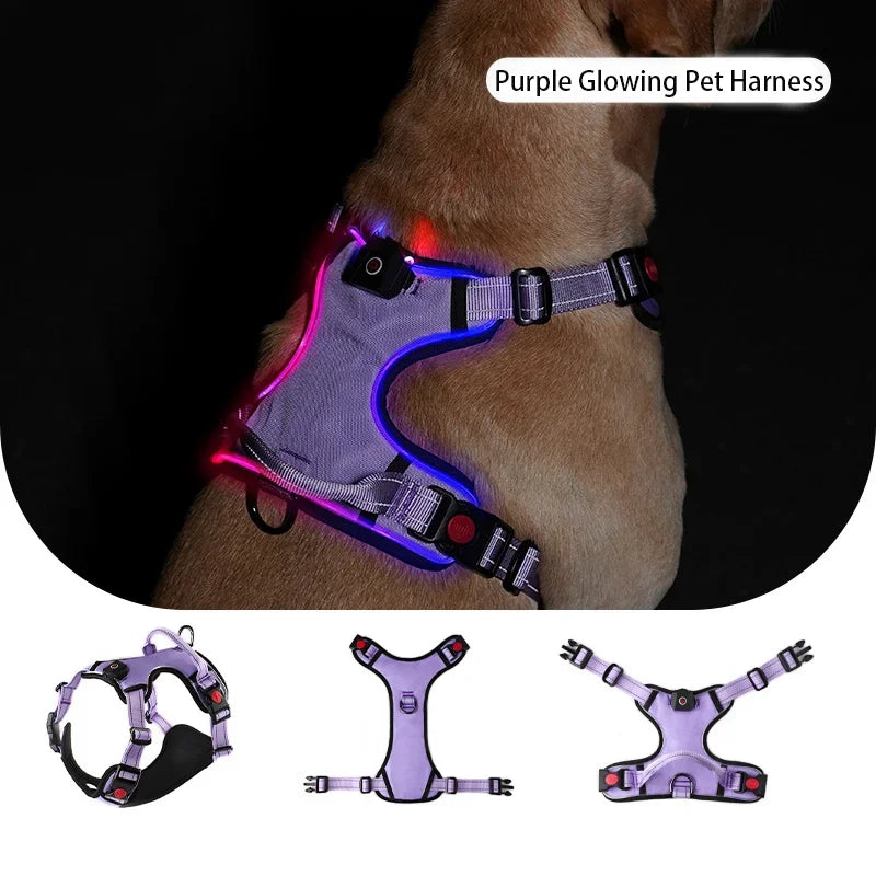 Luminous Dog Harnesses Essential for Dog Walking Safety At Night Large Dog Vest with Three LED Light Modes USB Rechargeable