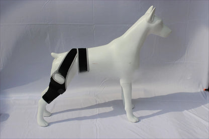 Dog Leg Support Brace (Knee Hip Joint)