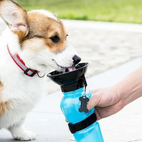 Portable 500ml Pet Travel Water Bottle