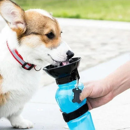 Portable 500ml Pet Travel Water Bottle