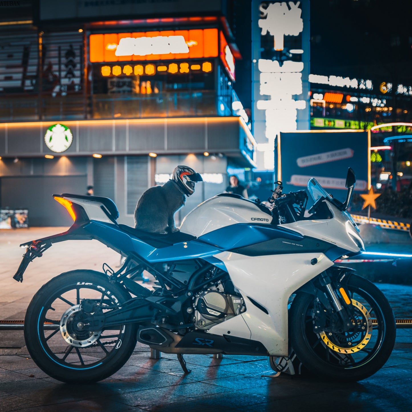 Protective Helmet for Dogs and Cats