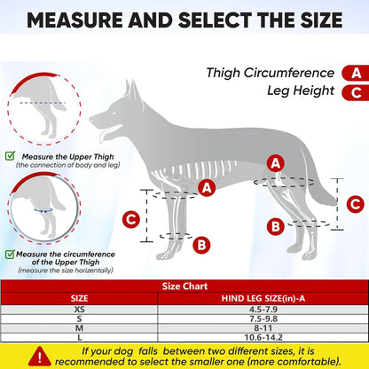 Dog Leg Support Brace (Knee Hip Joint)