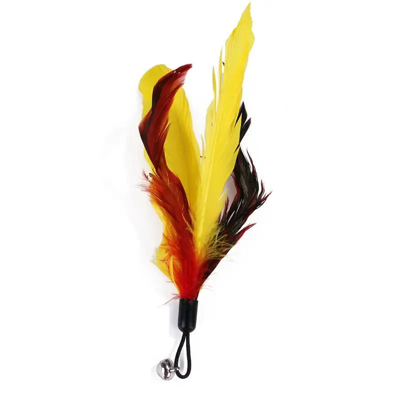 11 Piece Cat Feather Toy Replacement Set