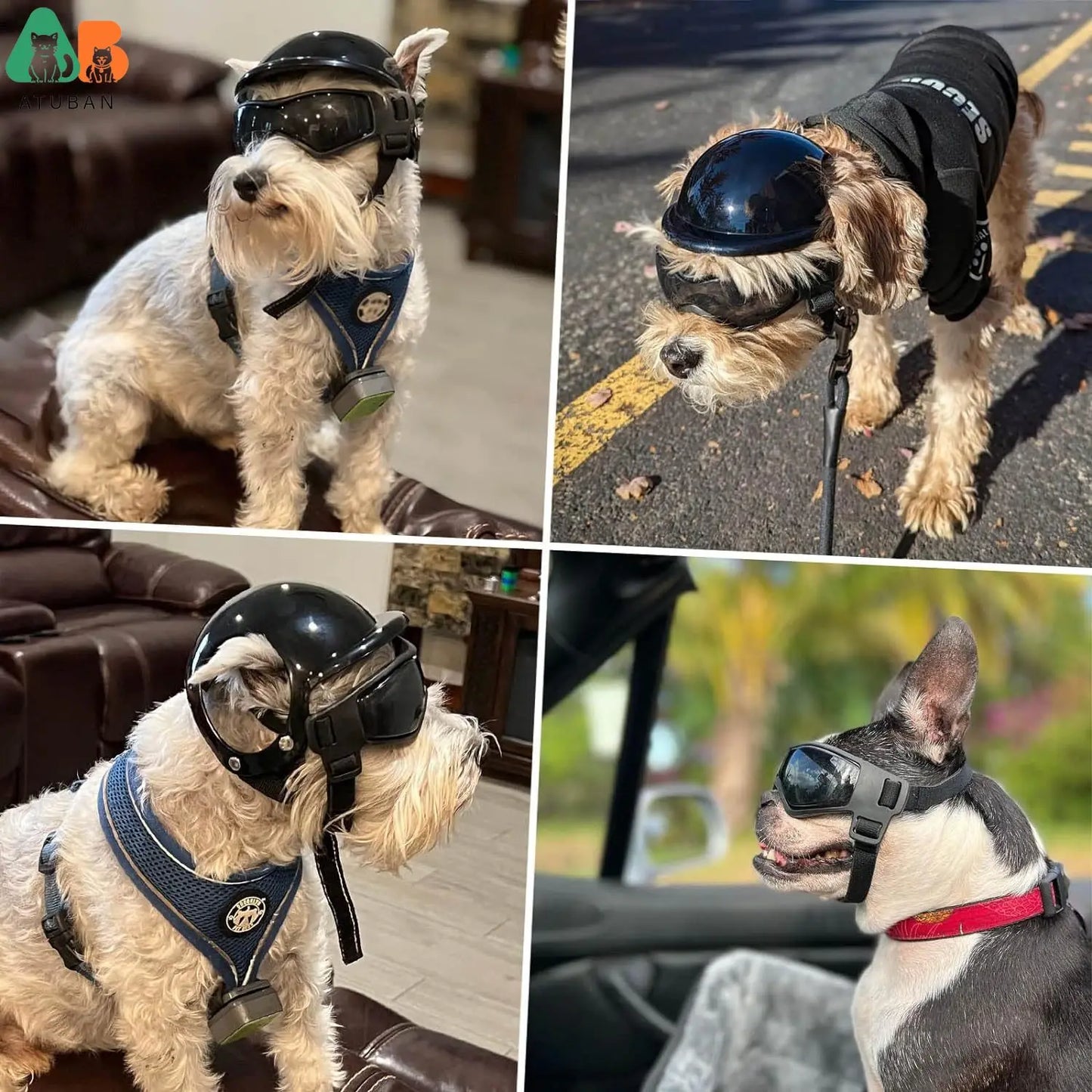 Dog Helmet and Dog Goggles for Motorcycle [Ear Holes + Adjustable Straps = Happy Puppy Riding]