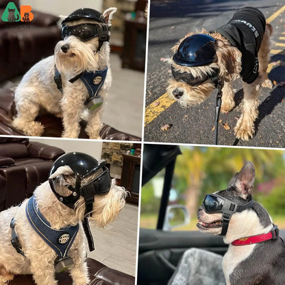 Dog Helmet and Dog Goggles for Motorcycle [Ear Holes + Adjustable Straps = Happy Puppy Riding]