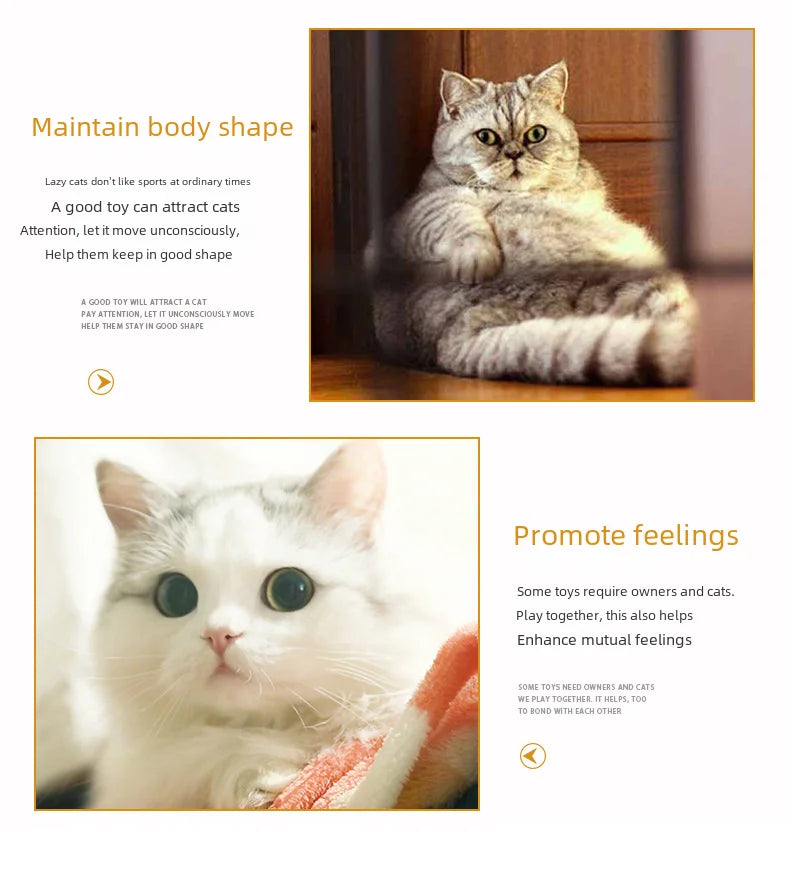 White Cat Tunnel Playground Interactive Toy