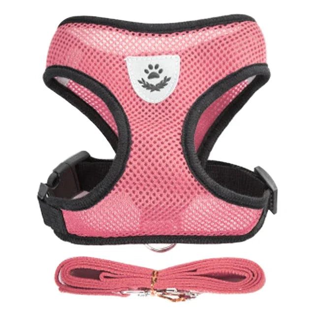 Adjustable Mesh Harness Vest with Leash Set