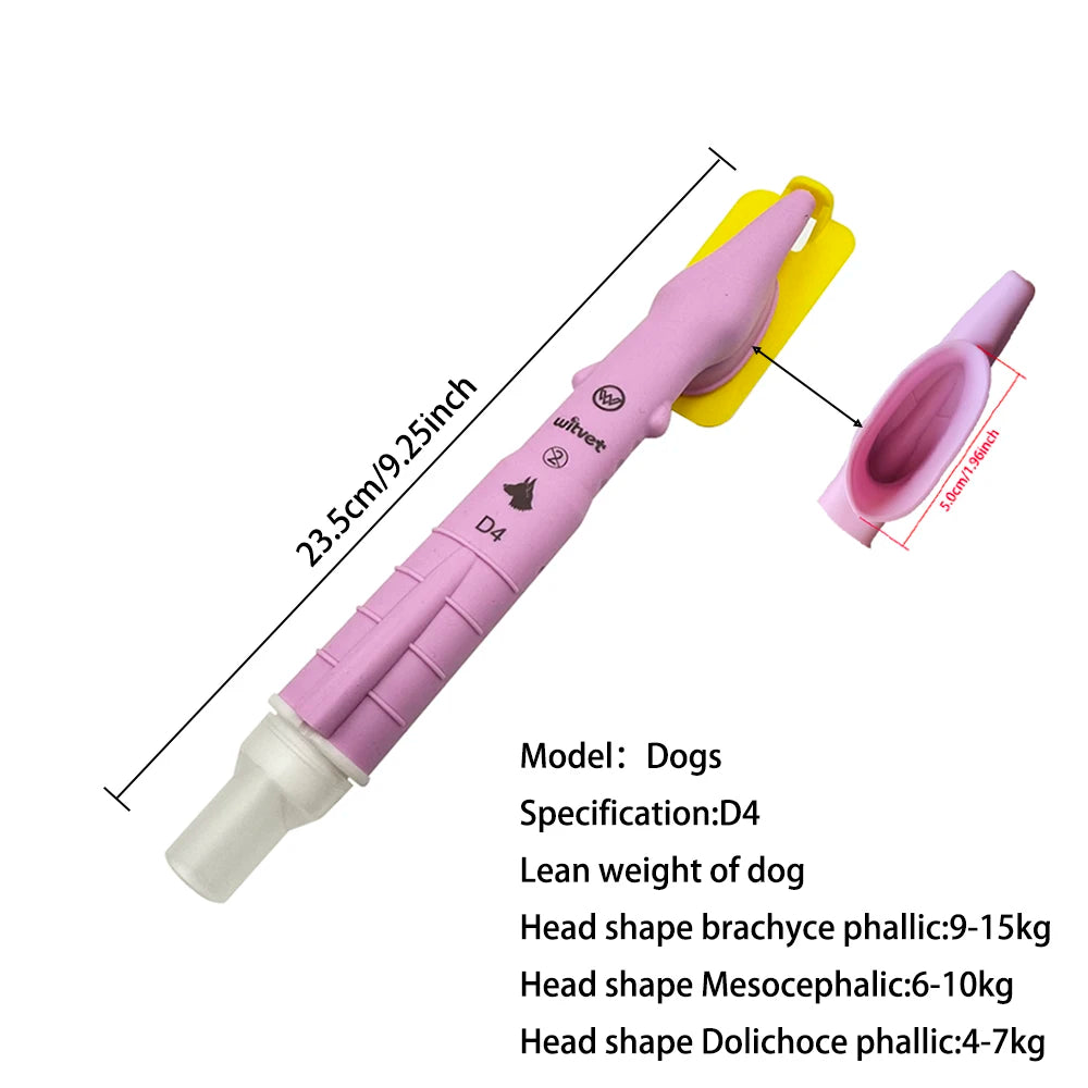 Canine Tracheal Intubation of Anesthesia Gas