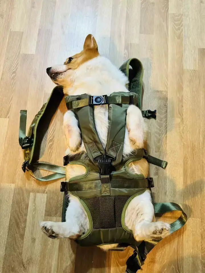 Chest Pet Bag Wrapping Large Dog Backpack