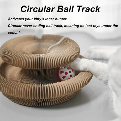 Creative Cat Scratching Board with Rolling Ball