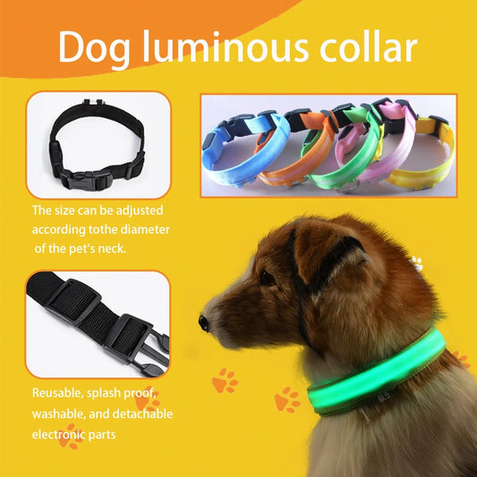 Nylon LED Night Safety Flashing Dog Leash