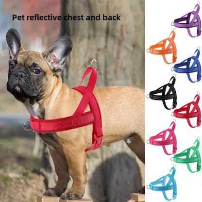 Explosion Proof Breathable Dog Leash and Vest