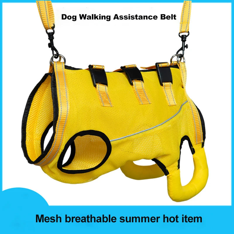 Rehabilitation Sling Carrier with Padded Straps | Breathable Hip Support for Hind Legs